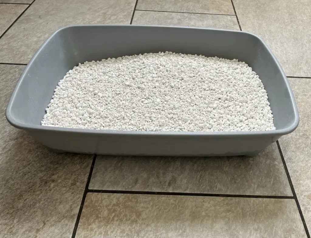 senior cat litter tray setup with unscented litter